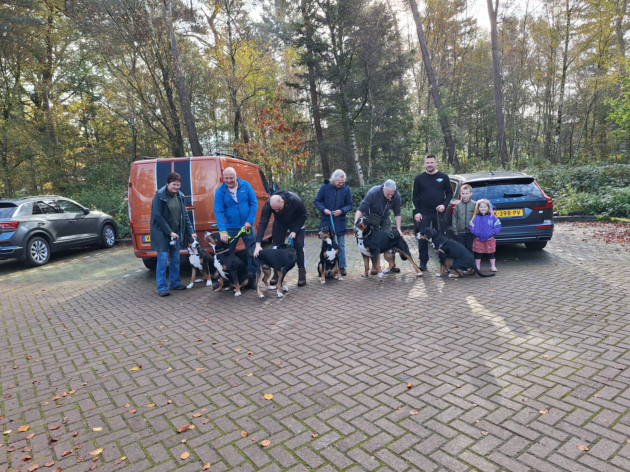 e81cf6ea 1aa8 4c0a 8ada 73d647b8fa91